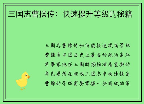 三国志曹操传：快速提升等级的秘籍